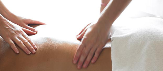 spas shiseido.png