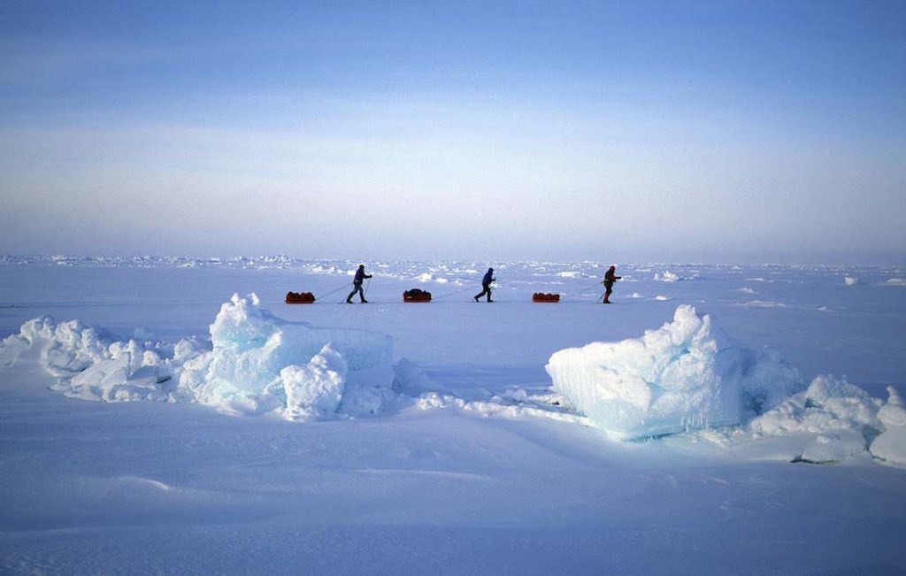 C Est Pas Sorcier Le Pole Nord Terre d’Aventures vous amène sur le toit du monde : le Pôle Nord