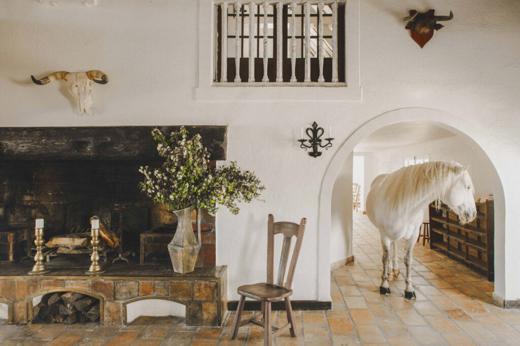 Bains Gardians camargues